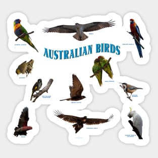 Australian native birds collection Sticker